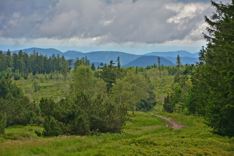 Blick vom Schliffkopf